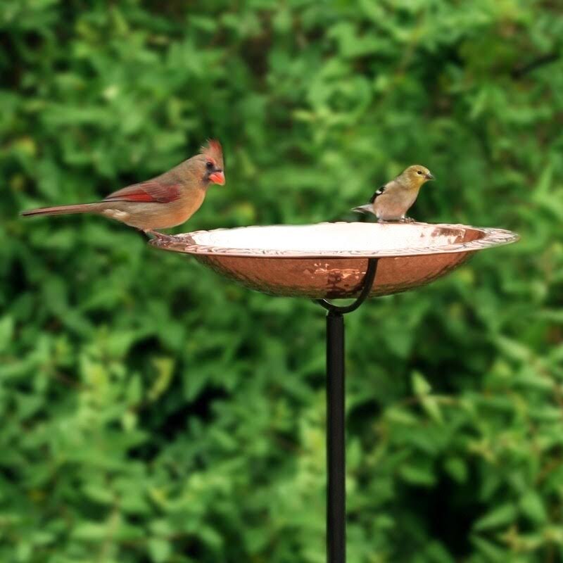 Good Directions Pure Copper Bird Bath on Garden Pole