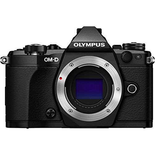 OM SYSTEM OLYMPUS OM-D E-M5 Mark II (Silver) (Body Only)