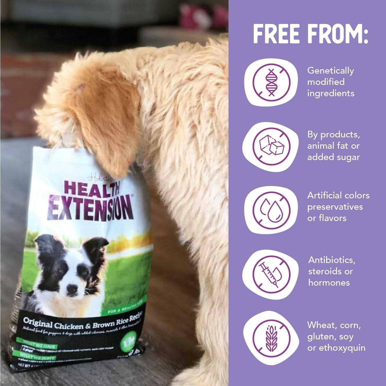 Health Extension Original Chicken Brown Rice Dry Dog Food - Pet Supplies online store