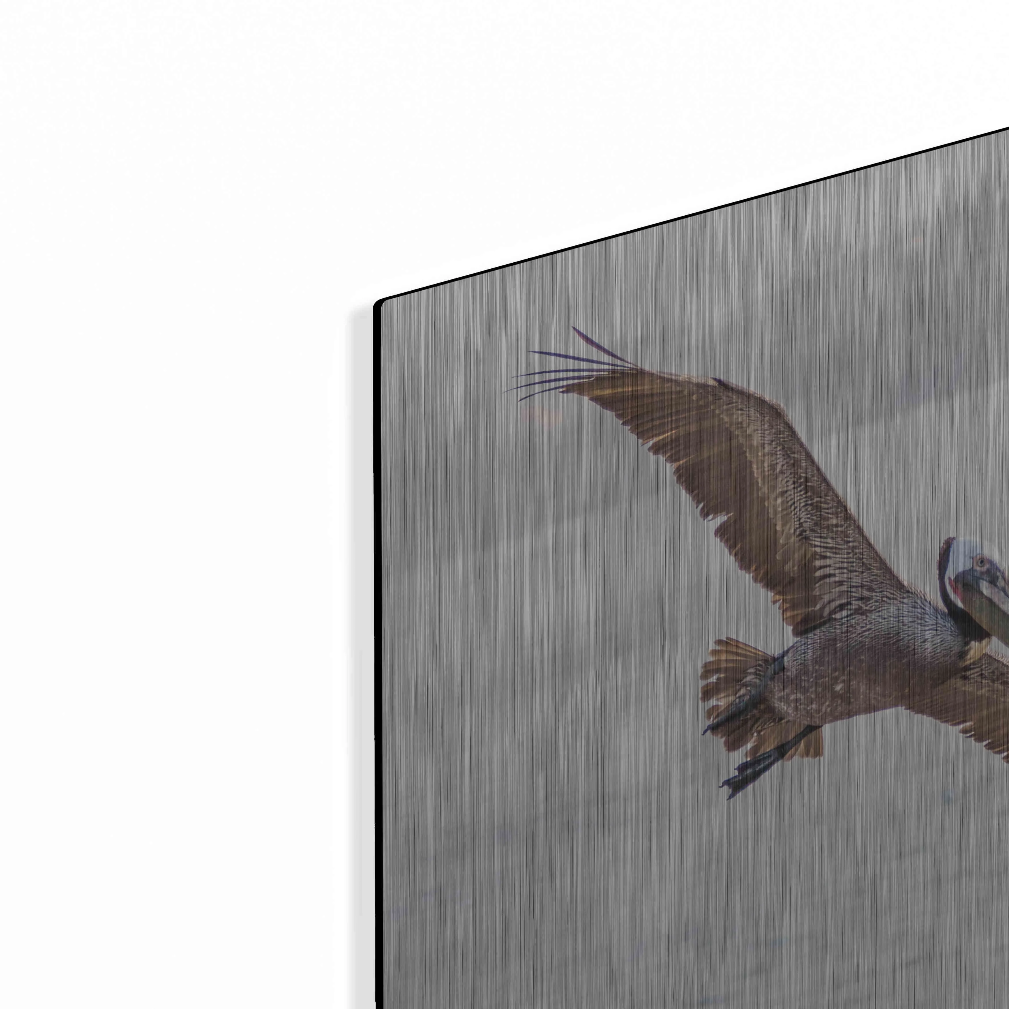 Luxe Metal Art 'Pelican Spread' by Chris Moyer, Metal Wall Art, 16"x12"