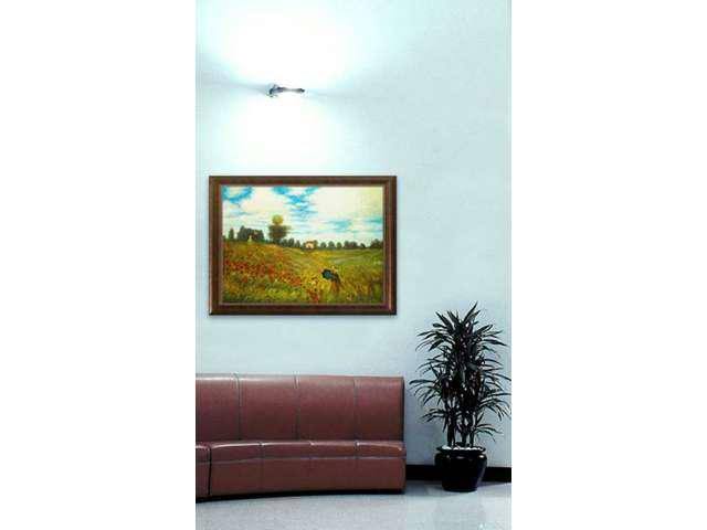 Monet Paintings Poppy Field in Argenteuil - Hand Painted Canvas Art