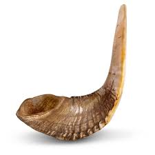 Classical Ram&s Horn Shofar - Medium - Natural Dark