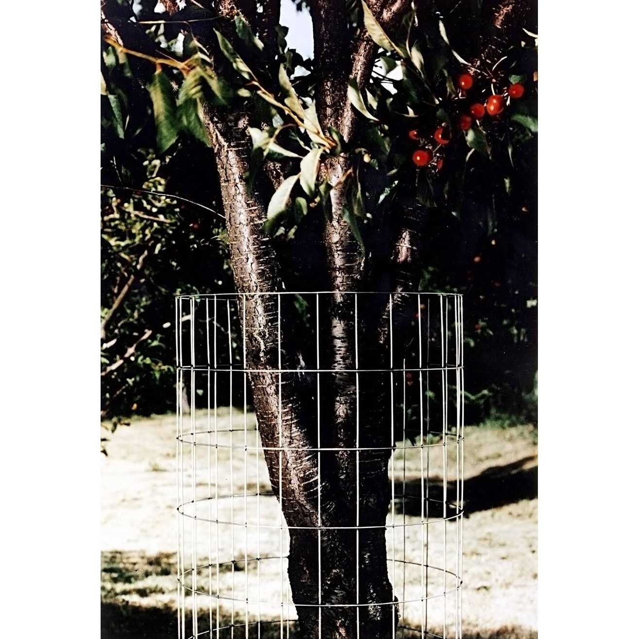 Red Brand Welded Wire Fencing 48-In. x 100-Ft - Shop Hardware Tools Online Store
