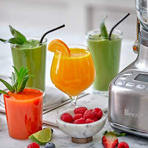 Breville 3X Bluicer Pro Stainless Steel food blender