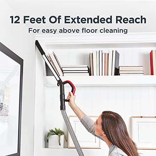 EUREKA Powerful Lightweight Upright Vacuum Carpet and Floor, PowerSpeed NEU202 with Automatic Cord Rewind
