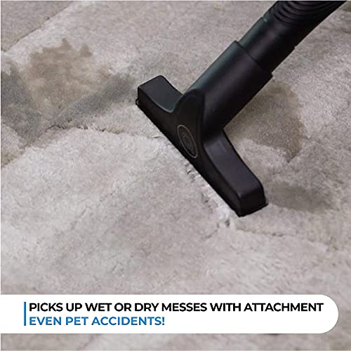 Quantum X Upright Water Vacuum Cleaner - No Filters, Telescopic Body, Pet Vacuum Cleaner and Picks Up Wet Spills, Unique Technology (Renewed)