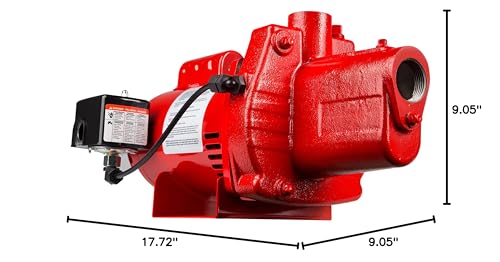 Red Lion RJS-50-PREM Premium Cast Iron Shallow Well Jet Pump