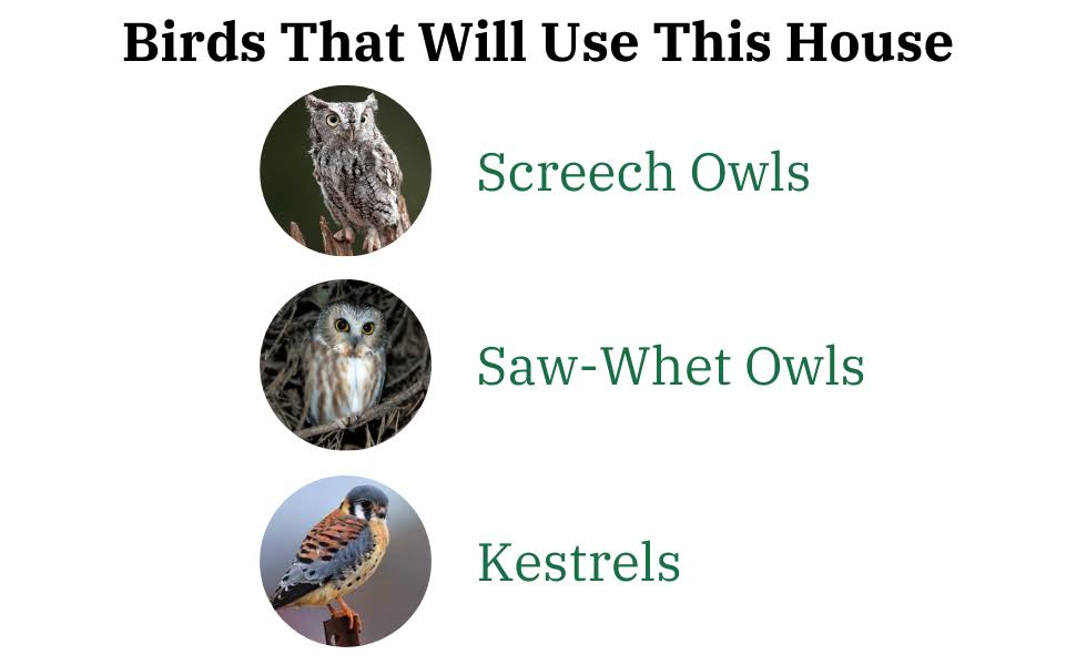 JCS wildlife Ultimate Poly Screech Owl/Saw-Whet Owl House (Red/Gray)