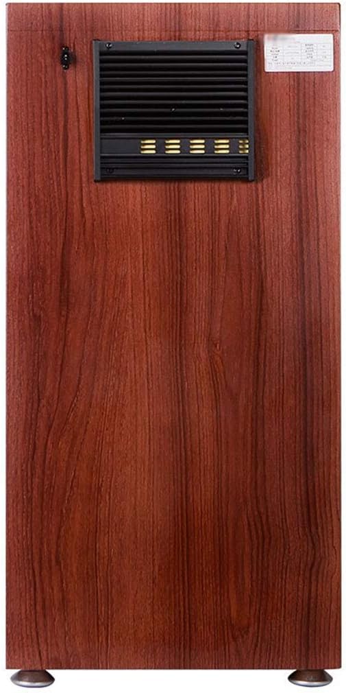 Electronic Dry Cabinet, Dehumidifier Box for Camera Lens & Optical Equipment Storage, LED Lighting, Noiseless & Low Energy, Wood Grain