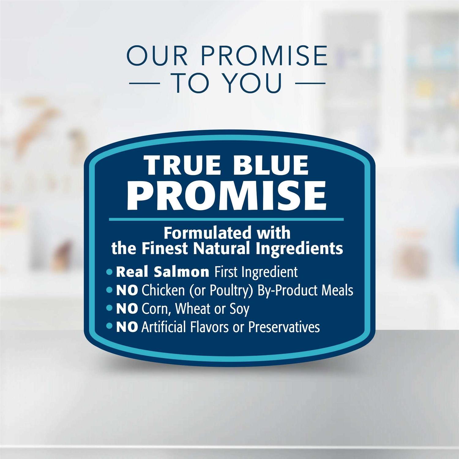 Blue Buffalo Natural Veterinary Diet W+M Weight Management + Mobility Support Dry Dog Food - Pet Supplies online store