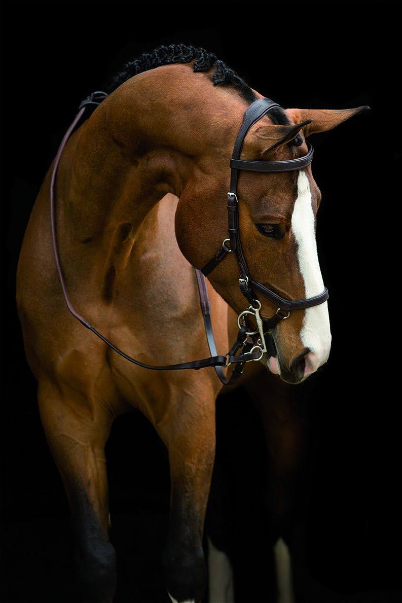 Rambo Micklem Competition Bridle - Brown