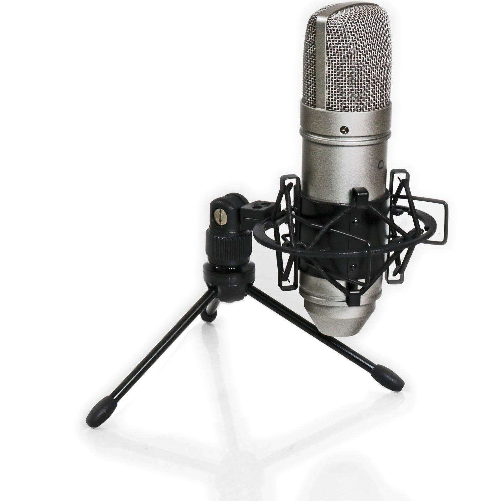 Tascam TM-80 Microphone
