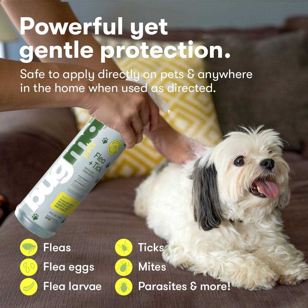 Bugmd Flea and Tick Concentrate Essential Oil-Powered Formula, Controls Fleas, Ticks, Mites in Dogs, Cats, and Other Furred - Pet Supplies online store