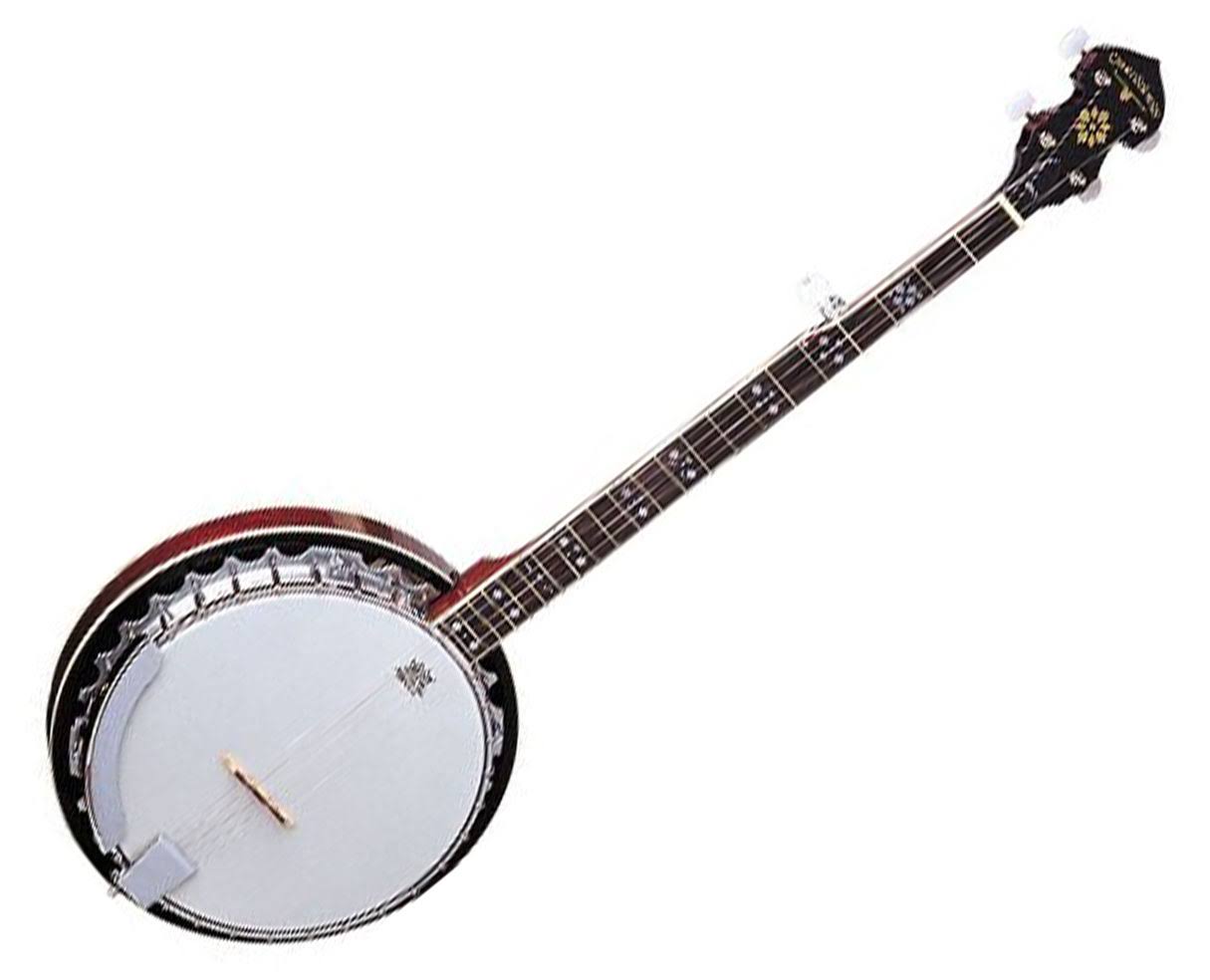 Oscar Schmidt OB5 5-String Banjo, Gloss