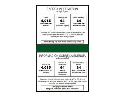 Hunter 44x22 Caraway Ceiling Fan, Nickel
