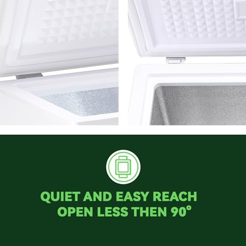 CHEST FREEZER 3.07