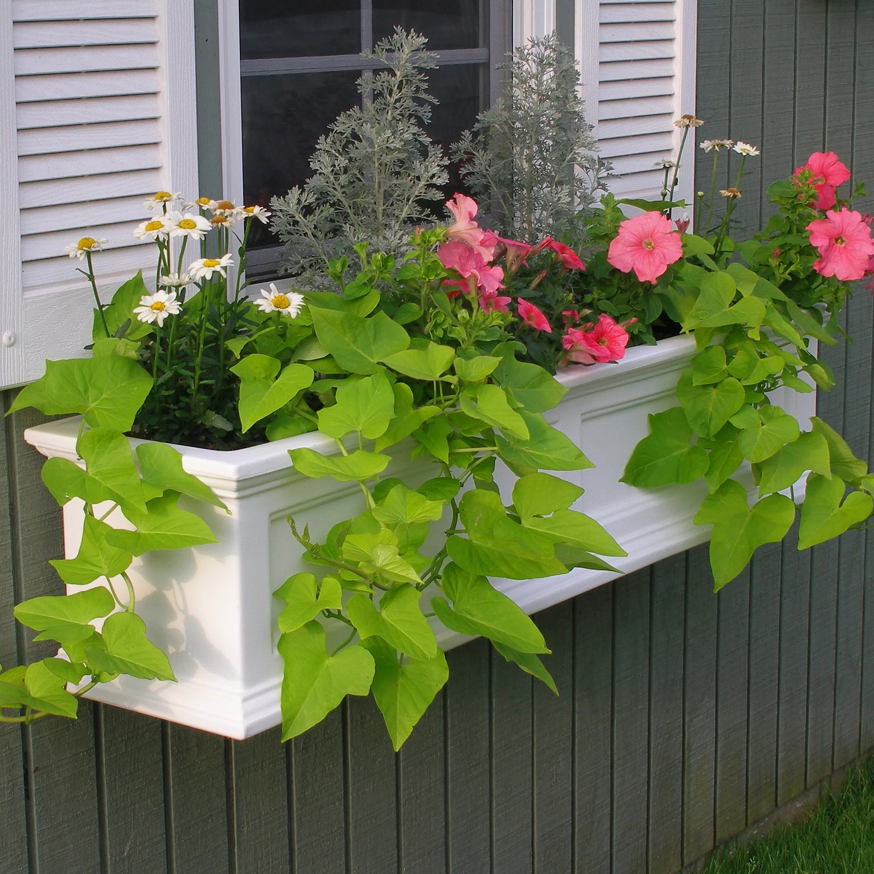 Mayne Fairfield 48" x 11" x 10.8" Rectangle White Self-Watering Polyethylene Window Box Planter