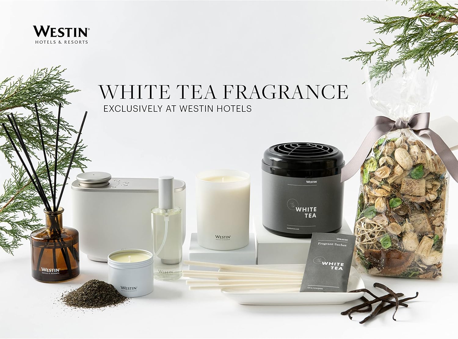 Westin White Tea Room Diffuser and Scent Capsule - Hotel Fragrance - Signature White Tea Scent