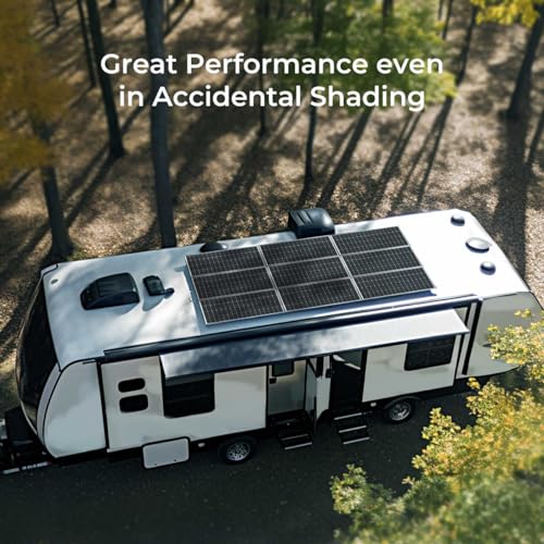Renogy Deep Cycle AGM Battery