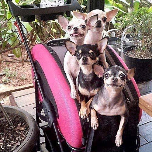 ibiyaya 5-in-1 Pet Carrier with Backpack, Pet Carrier Stroller, Shoulder Strap