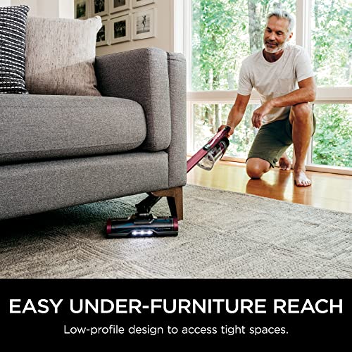 Shark | Pet Cordless Vacuum Cleaner | LED Headlights | Removable Handheld Vacuum for Pet Hair | Crevice Tool & Pet Multi-Tool Included | 40min Runtime | For Carpet & Hard Floors | Grey | IX141