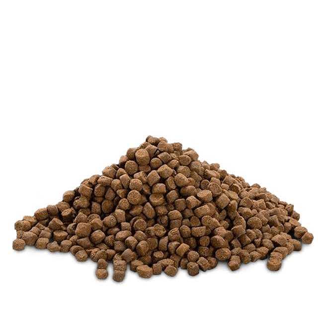 Bully Max 25/11 High Protein &amp; Low Fat Dog Food Chicken-Free Lamb Flavor - Pet Supplies online store