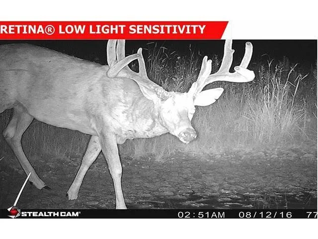 Stealth Cam G42NG 12 Mp Game Camera - Kryptek Highlander