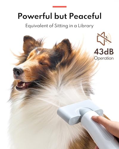HomeRunPet Drybo Plus Pet Dryer Box & Grooming Hair Dryer