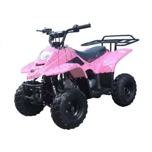 Red Spider Taotao 110cc Raider 6 Kids Air Cool, Single Cylinder ATV