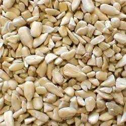 Shafer Seed Company 281720 Med Sunflower Chips - Pet Supplies online store