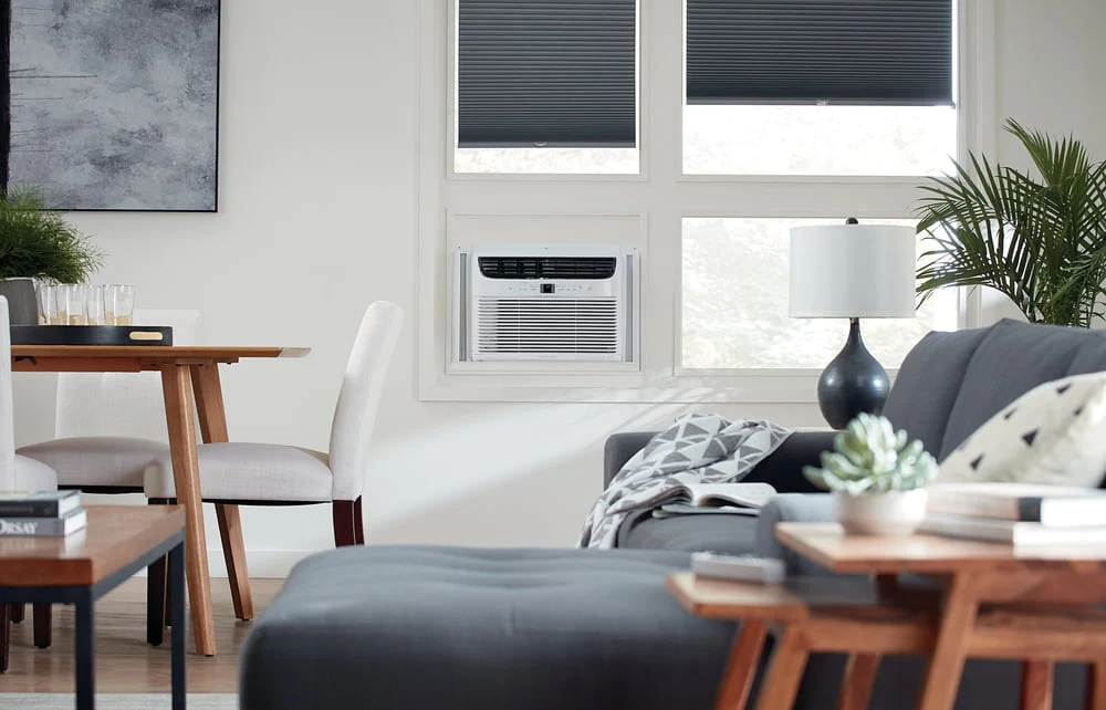 Frigidaire 5,000 BTU 115V Window-Mounted Mini-Compact Air Conditioner with Full-Function Remote Control, White