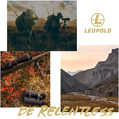 Leupold BX-4 Pro Guide HD Binoculars