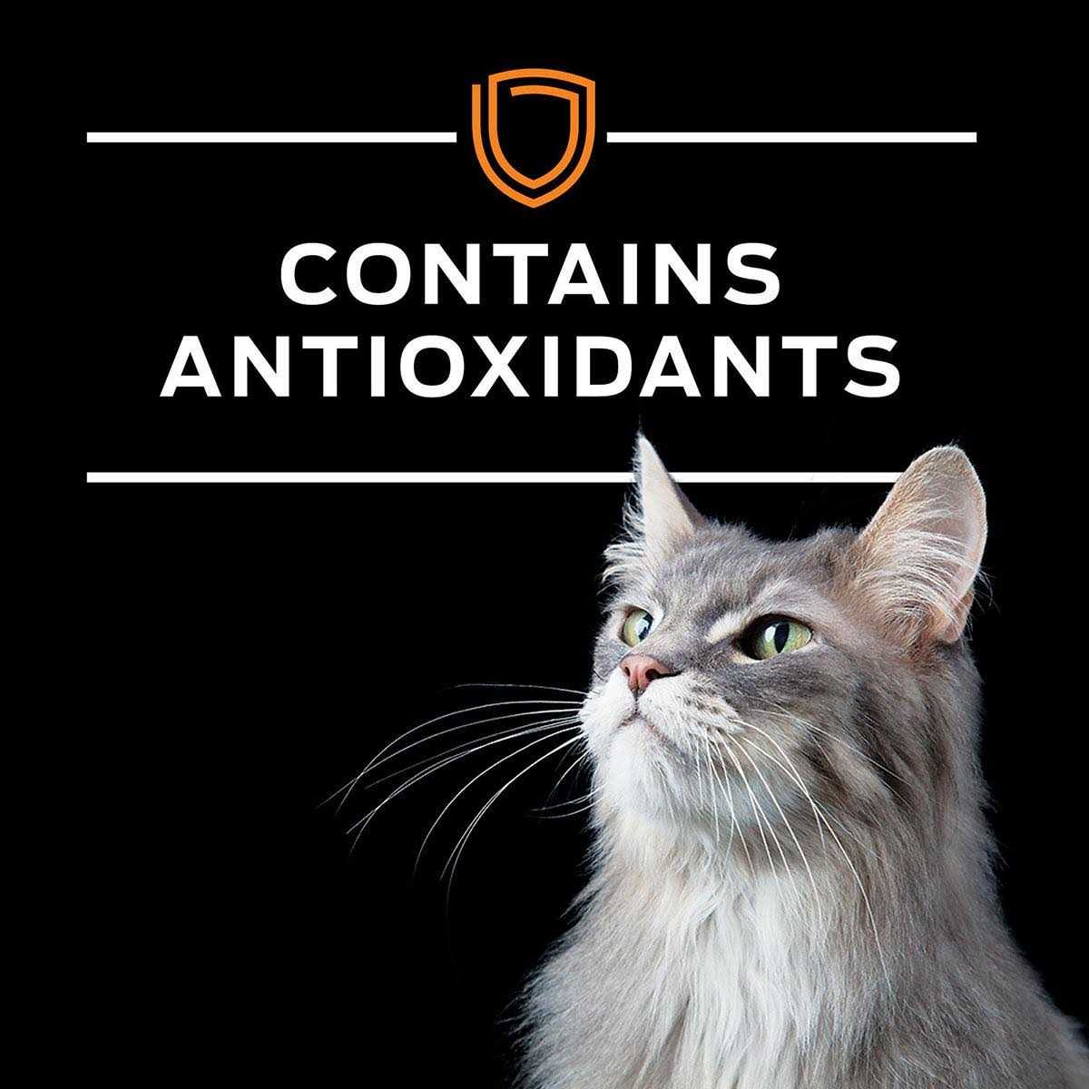 Purina Pro Plan Veterinary Diets UR Urinary St/Ox Savory Selects Variety Pack Wet Cat Food - Pet Supplies online store