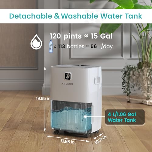 Home Dehumidifier