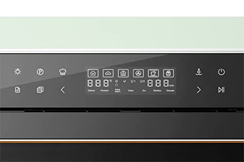 ROBAM Steam Oven