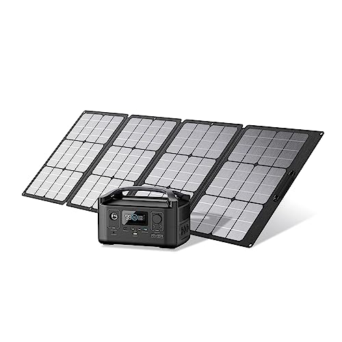 EF ECOFLOW Portable Power Station