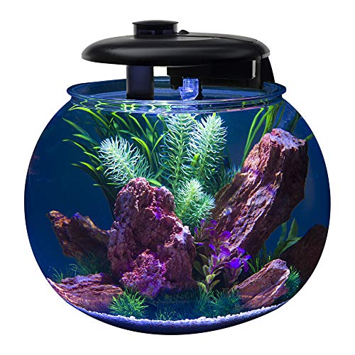 Penn-Plax AquaSphere 360 Large Bowl-Shaped Aquarium for Freshwater and Saltwater Setups – Fully Integrated Filtration System and LED Light Display - Durable Polycarbonate