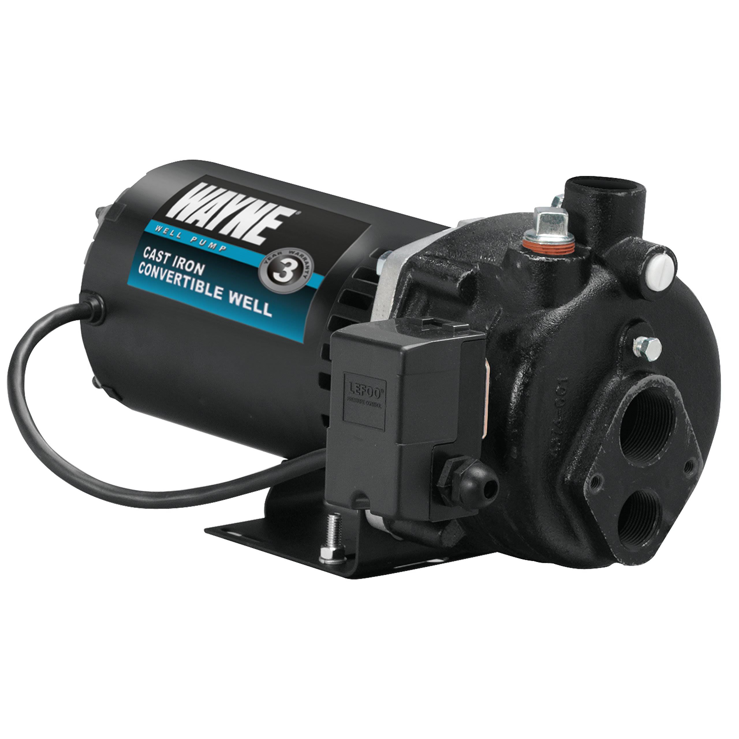Wayne CWS100 1 HP Cast-Iron Convertible Well Jet Pump