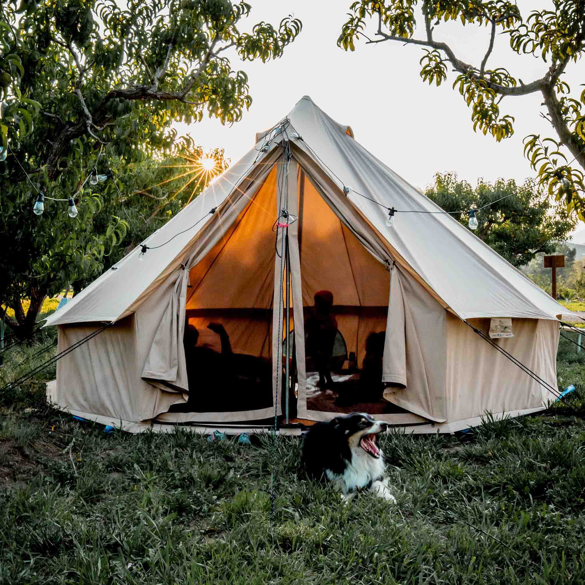 WHITEDUCK Regatta Canvas Bell Tent w/Stove Jack, Sandstone Beige, 13', Water Repellent 4-Season Camp