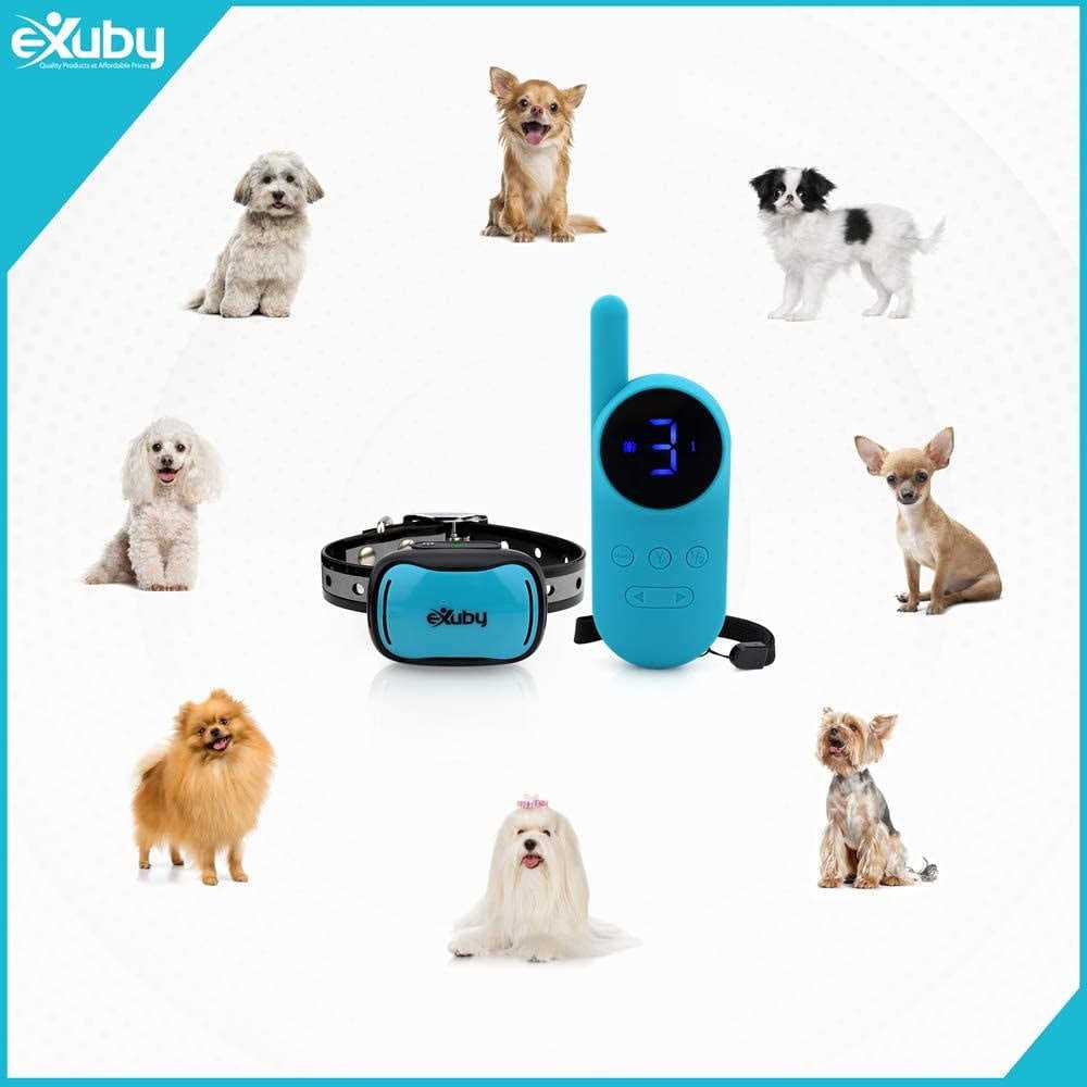 Exuby Tiny Shock Collar for Small Dogs 5-15lbs Smallest Collar on The Market - Pet Supplies online store