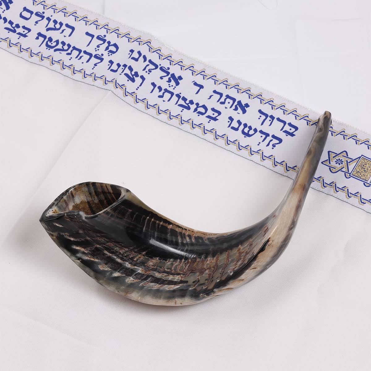 Classical Ram&s Horn Shofar - Medium - Natural Dark