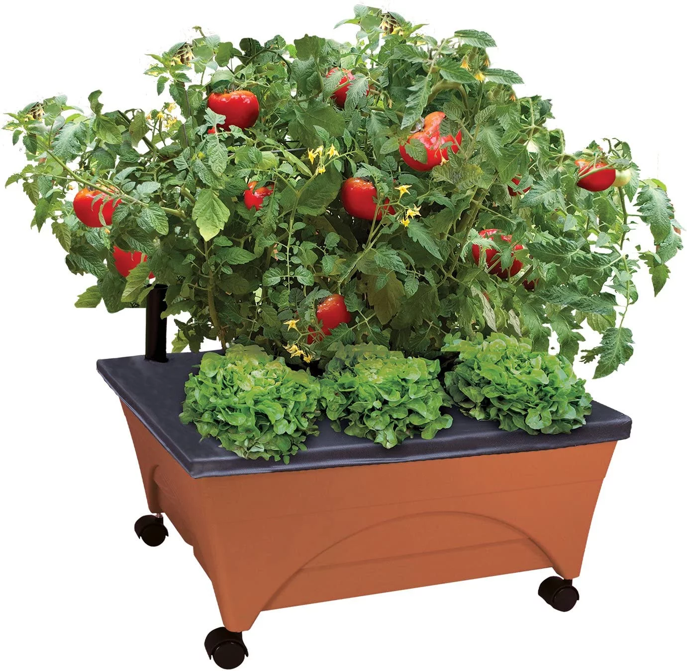 City Picker Raised Bed Grow Box – Self Watering And Improved Aeration – Mobile Unit With Casters - Curated Treasures Market