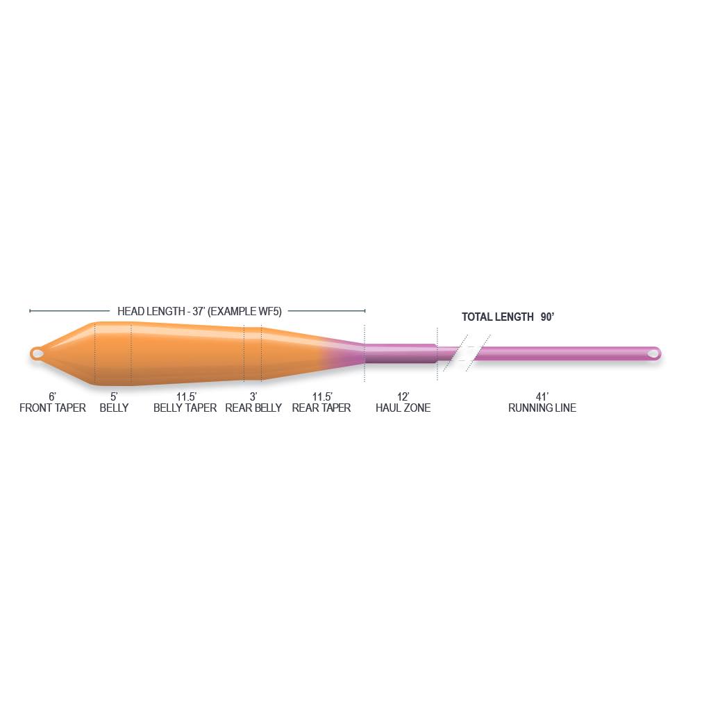 Airflo SuperFlo Power Taper Fly Line