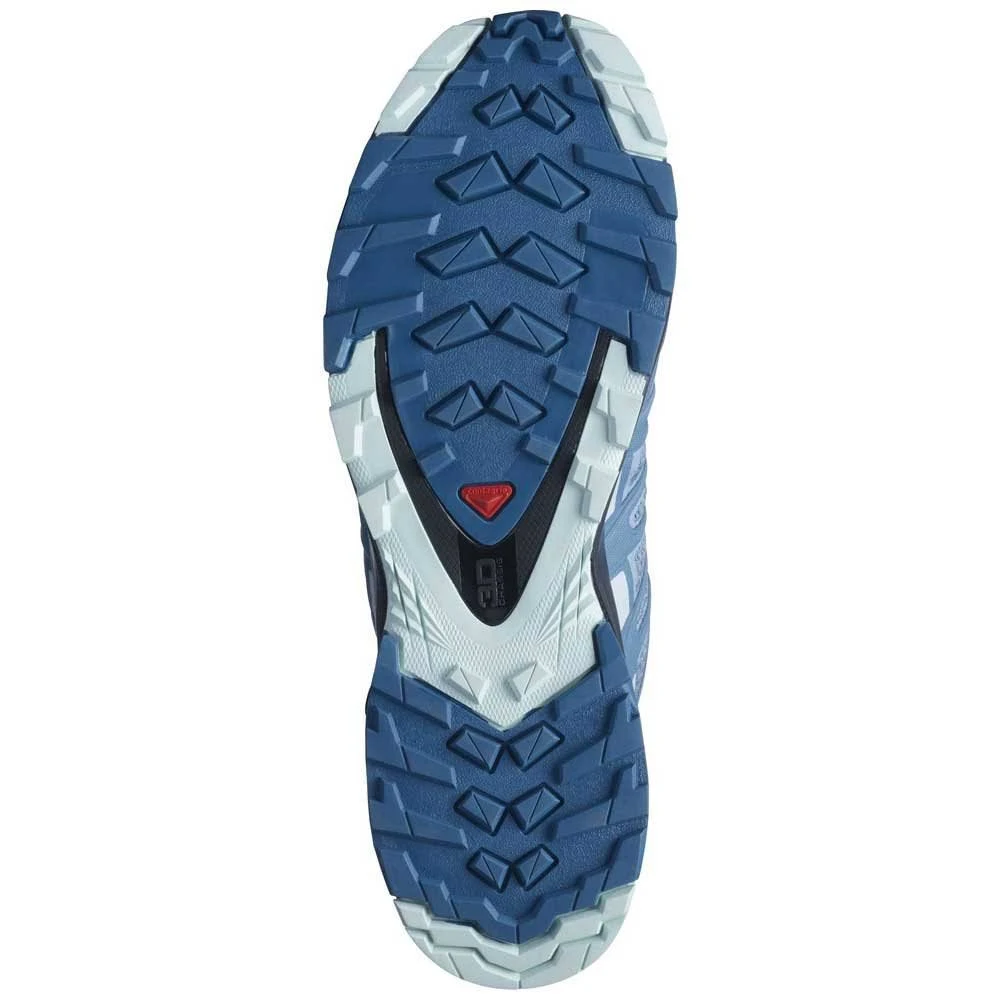 Salomon XA Pro 3D V8 5