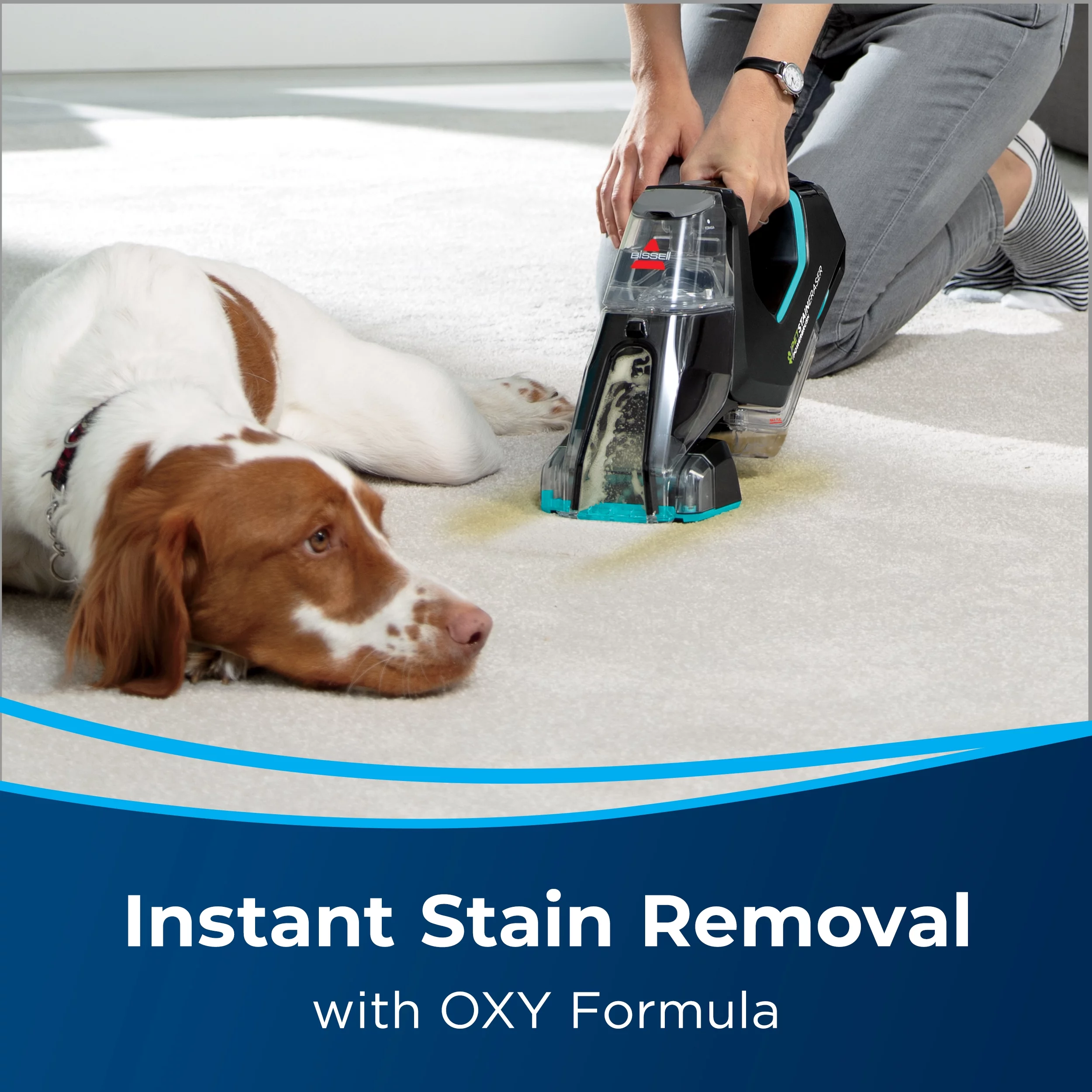 Bissell Pet Stain Eraser PowerBrush Portable Carpet Cleaner - 2842