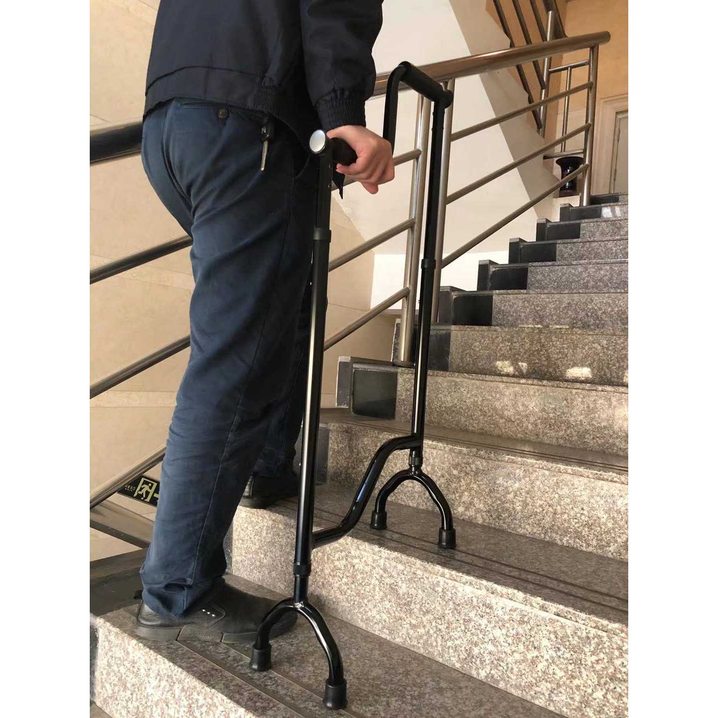 Rock Steady Cane Stair Assist Cane - Pet Supplies online store