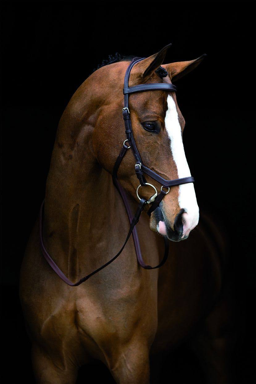Rambo Micklem Competition Bridle - Brown