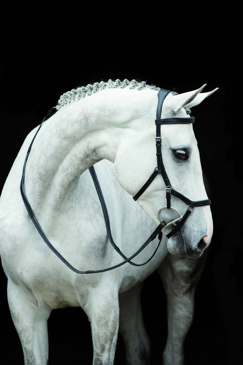 Rambo Micklem Competition Bridle - Brown