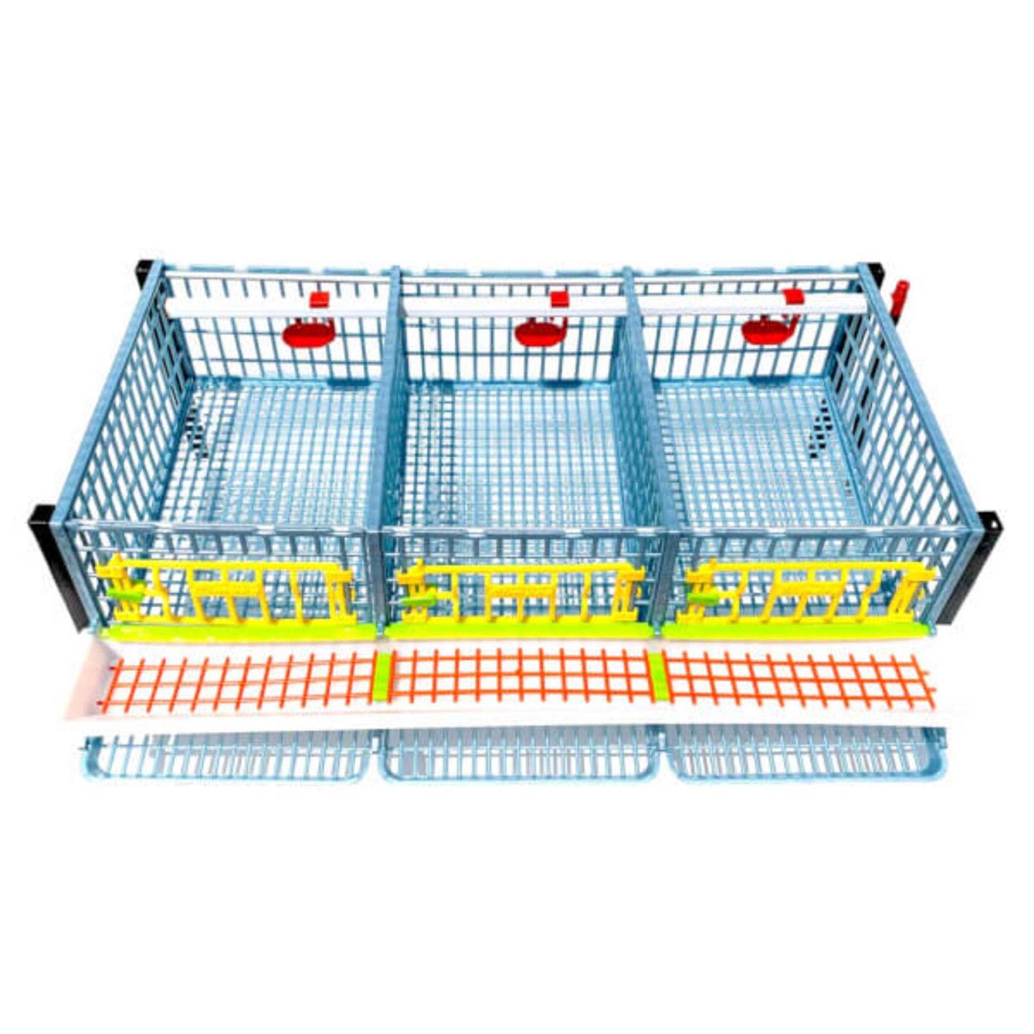 Hatching Time Partridge Cage 1 Layer - Pet Supplies online store