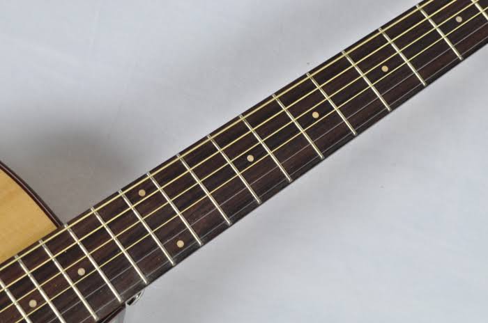 Ibanez Exotic Wood AEW23ZW-NT Acoustic-Electric Guitar Natural